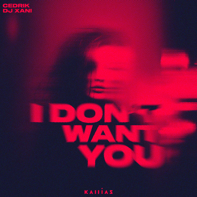 I Don't Want You