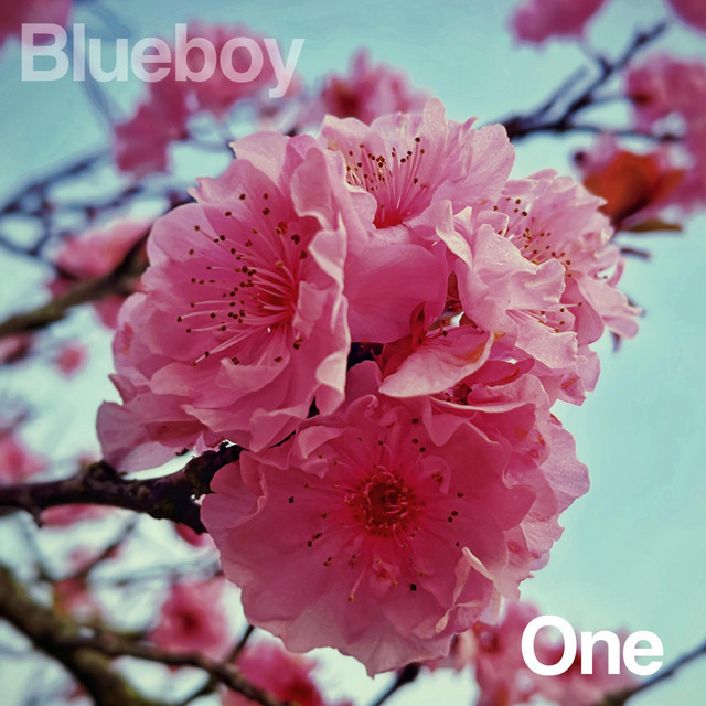 One cover art