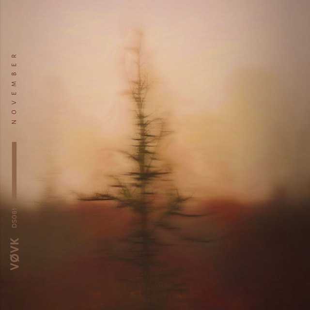 Обкладинка: november — VØVK