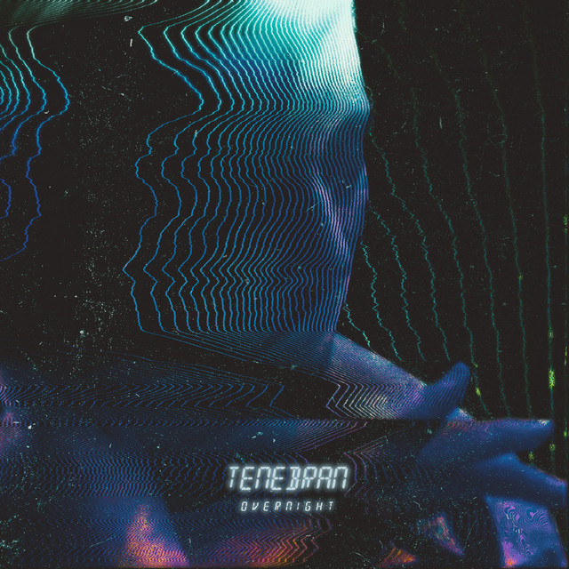 Overnight cover art