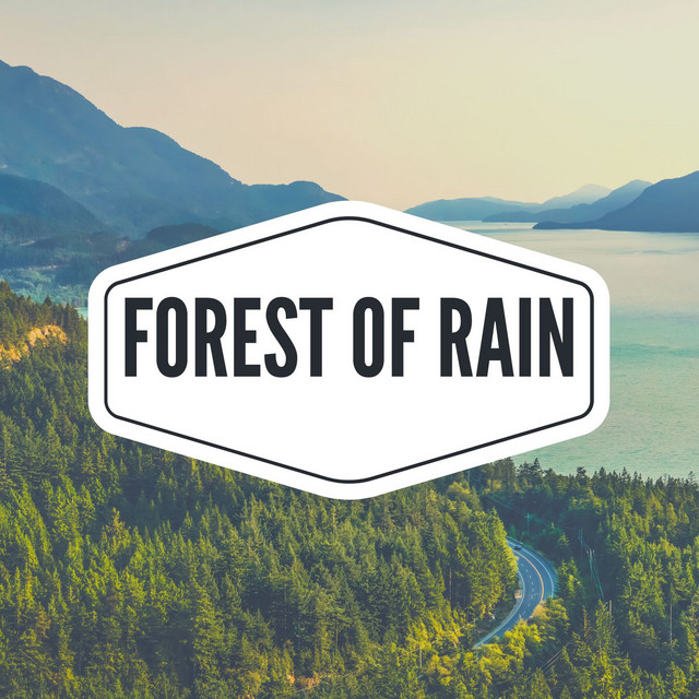 Forest of Rain cover