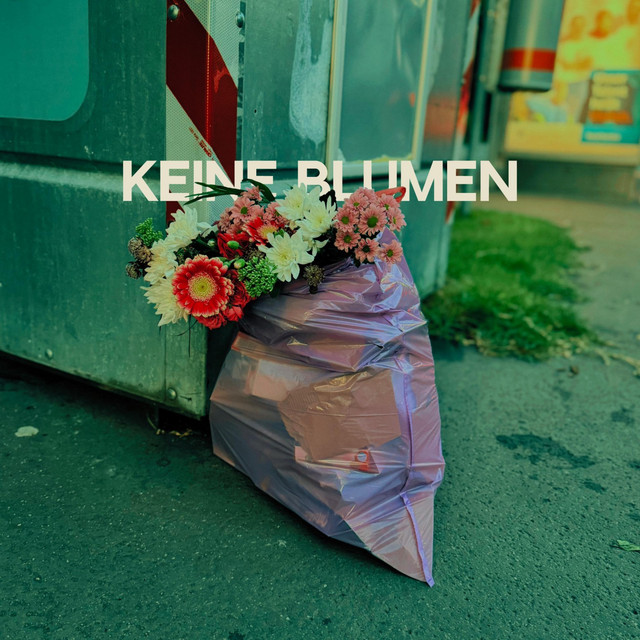 keine blumen