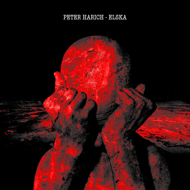 Elska cover art