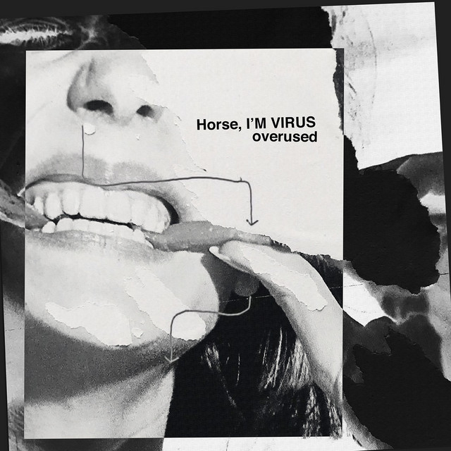 Horse, I'm Virus Photo