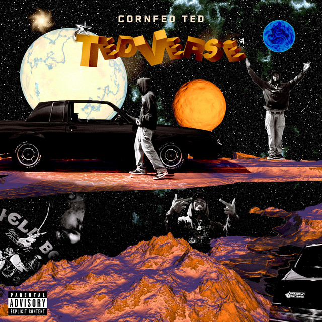 TED-VERSE cover art