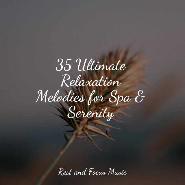 NUM Ultimate Relaxation Melodies for Spa & Serenity - Album by Zen ...