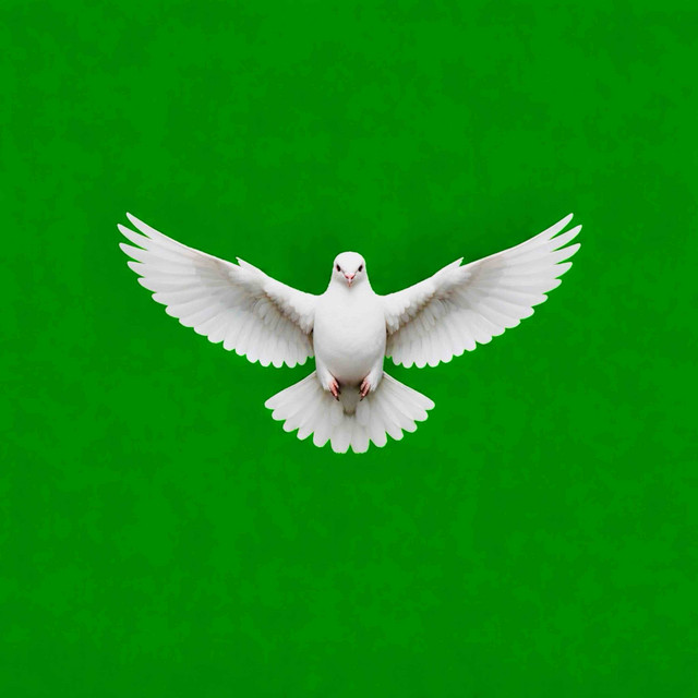 美筋 cover art