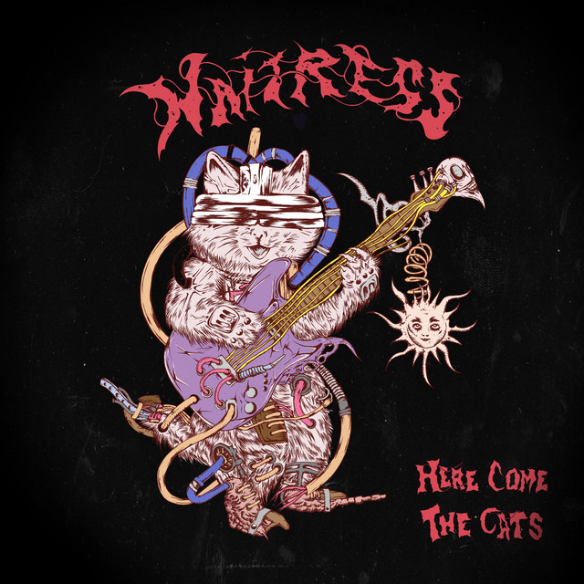 Here Come The Cats cover art