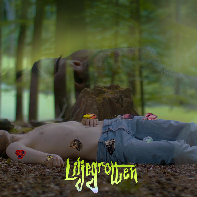 Liljegrotten cover art