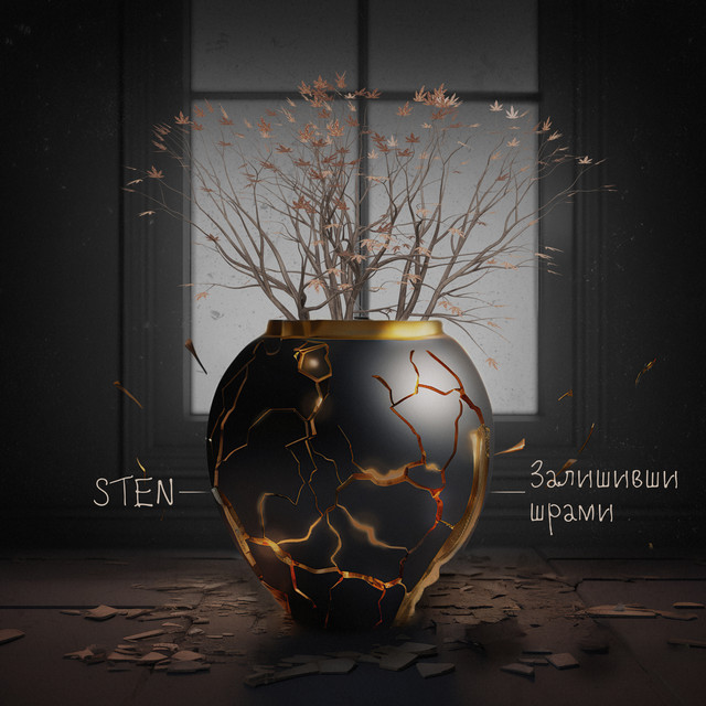 Обкладинка: Залишивши шрами — STEN