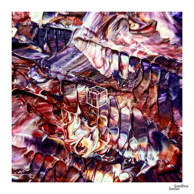 Saelus cover art