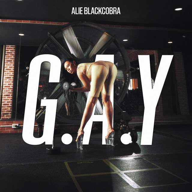 G.A.Y o(^∇^)o