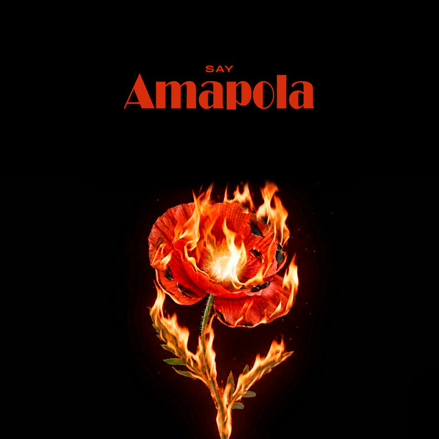 Amapola
