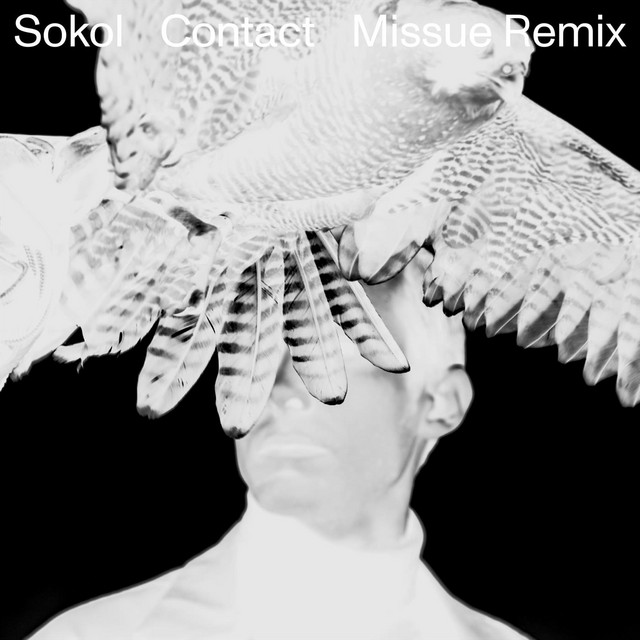 Contact single by sok spotify