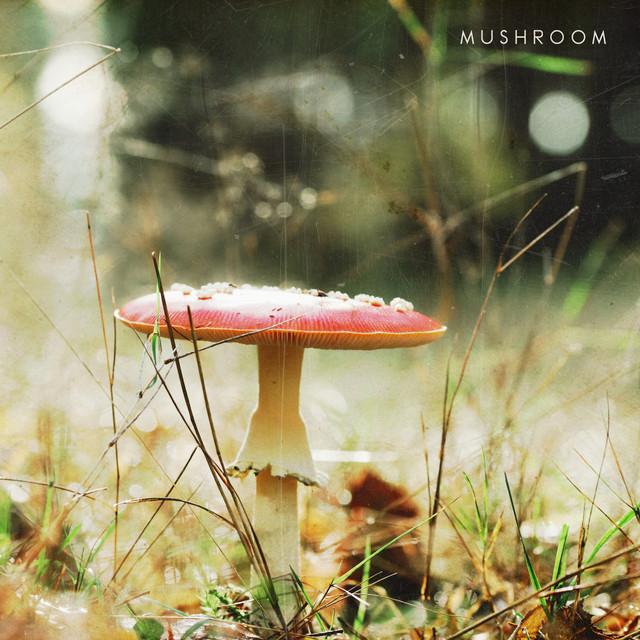 Mushroom