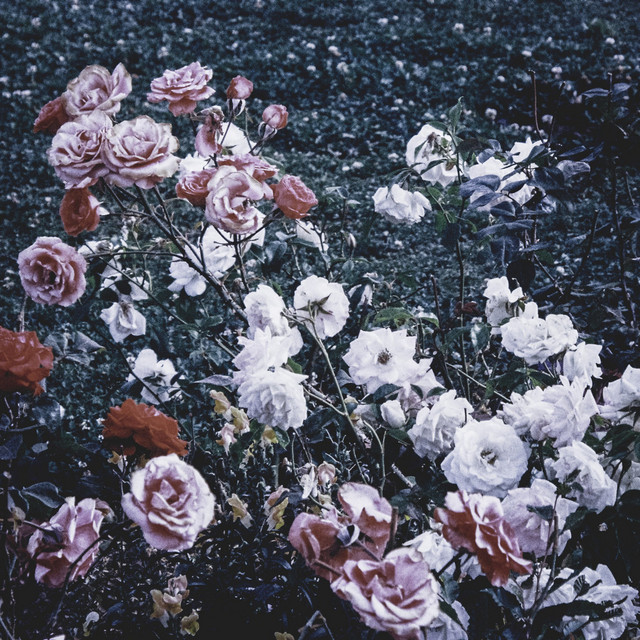 Todo Estará Bien cover art