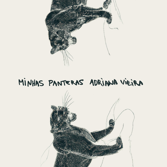 Minhas Panteras