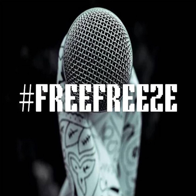 #FREEFREEZE cover