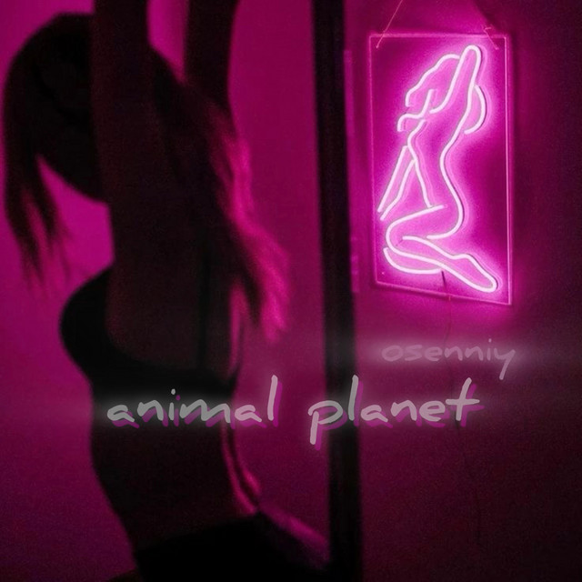 Обкладинка: Animal Planet — osenniy