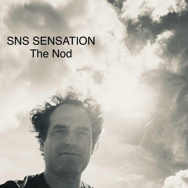 The Nod cover