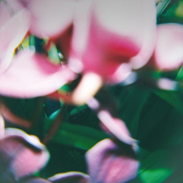 You Make Everything Disappear cover art