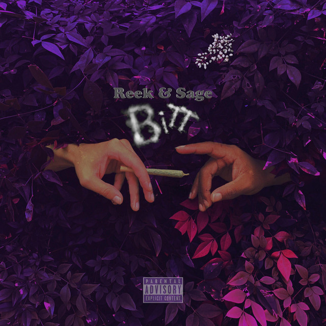 Believe in The Tree cover art