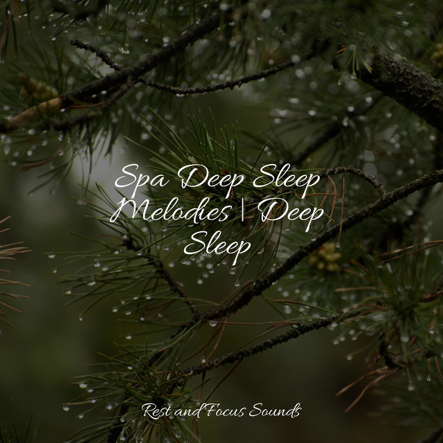 Spa Deep Sleep Melodies | Deep Sleep - Album by Baby Sleep Music | Spotify