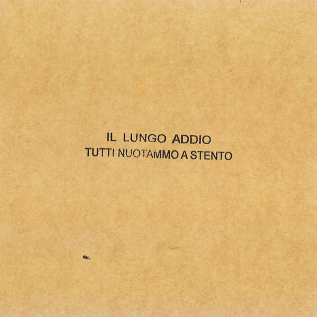 Tutti nuotammo a stento cover