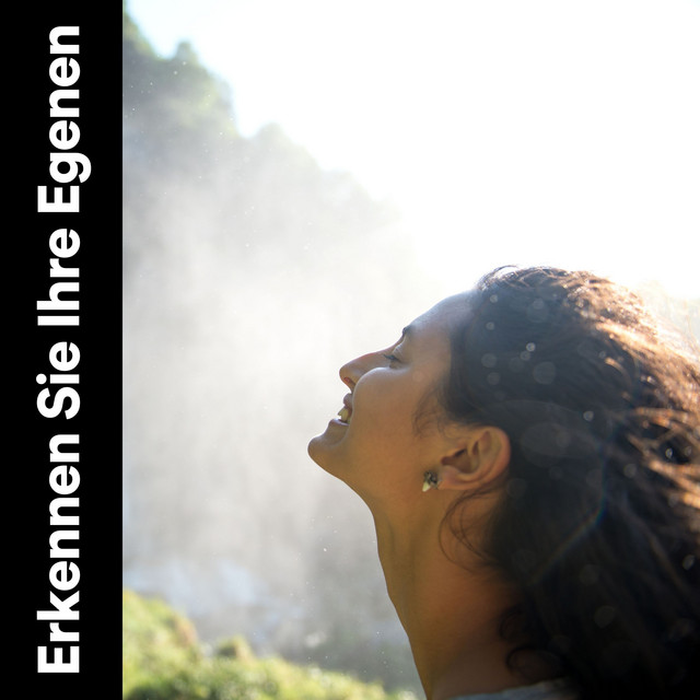 Erkennen Sie Ihre Egenen cover art