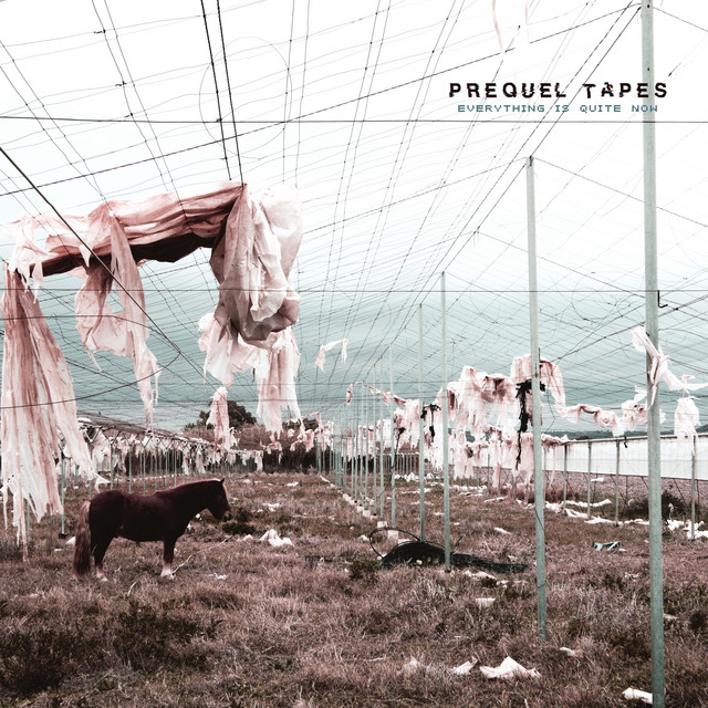 Everything Is Quite Now cover art