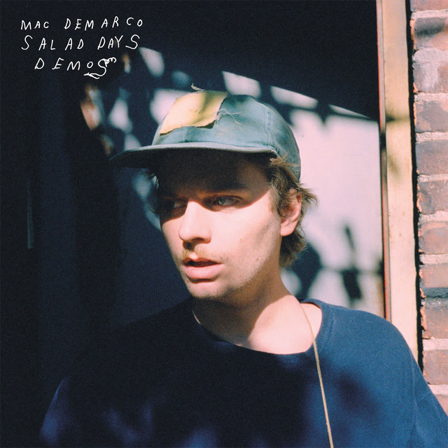 Cover du titre Salad Days