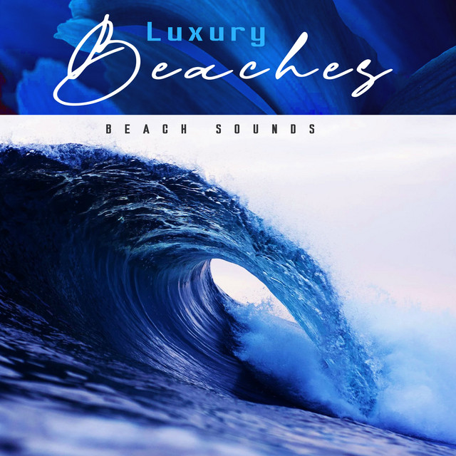 Breeze Reefside - song and lyrics by Beach Sounds | Spotify