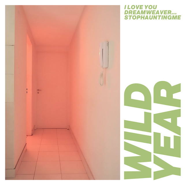 I Love You Dreamweaver... Stophauntingme cover art