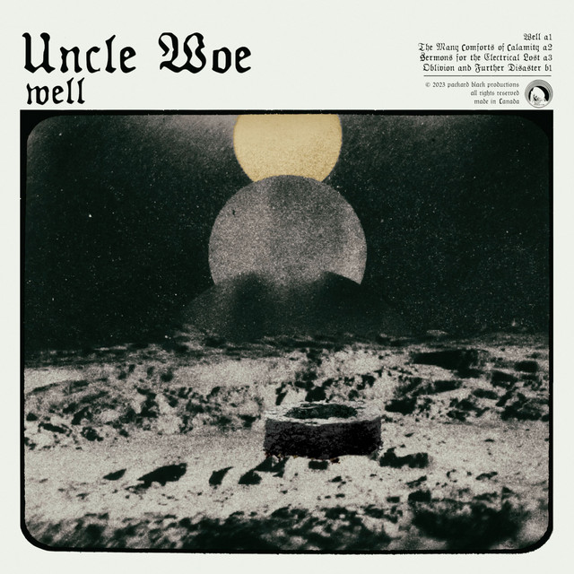 Well cover