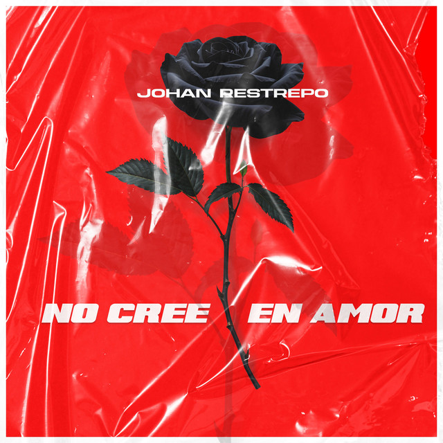 No Cree En Amor