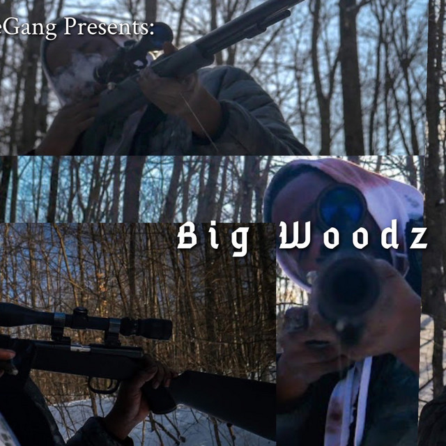 Big Woodz cover art