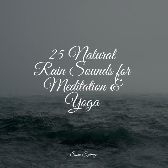 25 Natural Rain Sounds for Meditation & Yoga - Album by Lluvia PQ | Spotify