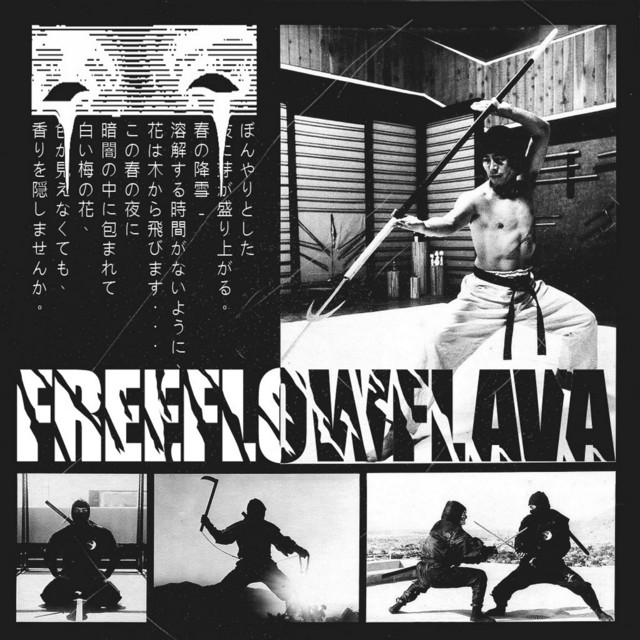 Secret Ninja cover art