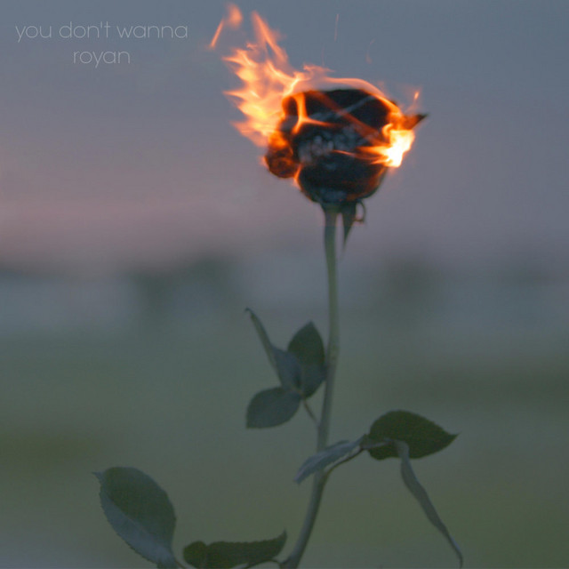 you don't wanna cover art
