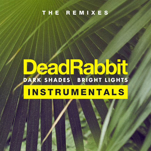 Dark Shades / Bright Lights (The Remixes Instrumentals) cover art