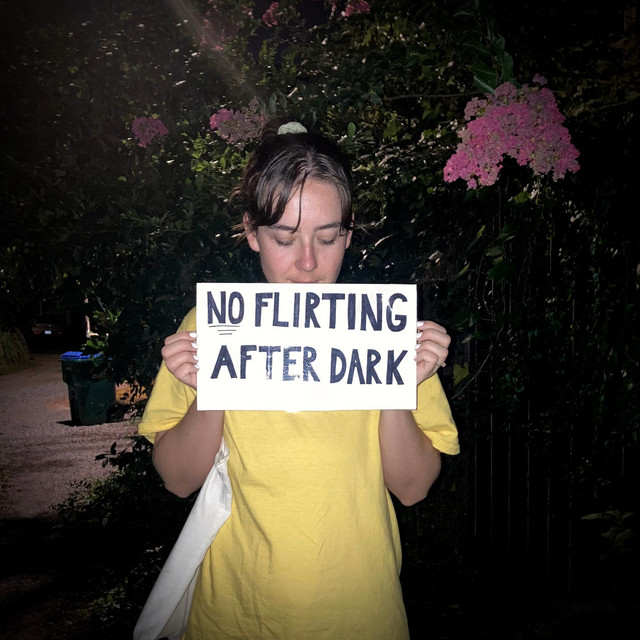 No Flirting After Dark cover art