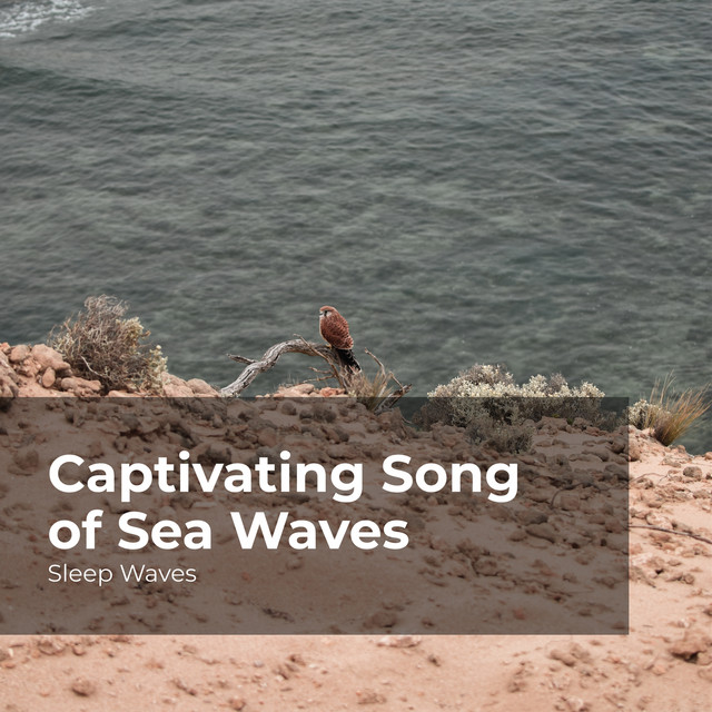 Captivating Song of Sea Waves - Album by Sleep Waves | Spotify