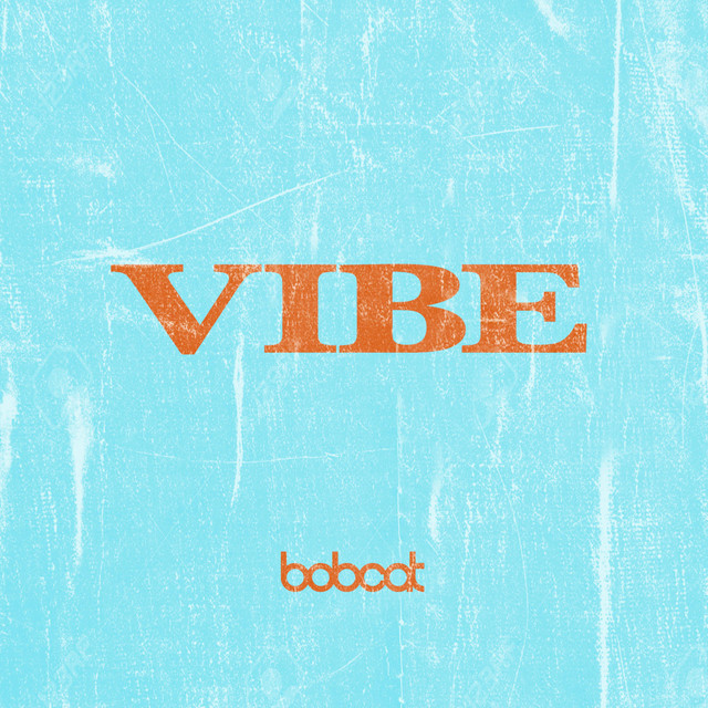 Vibe cover
