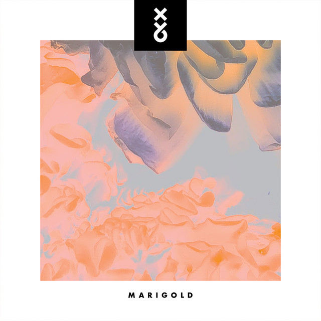 Marigold