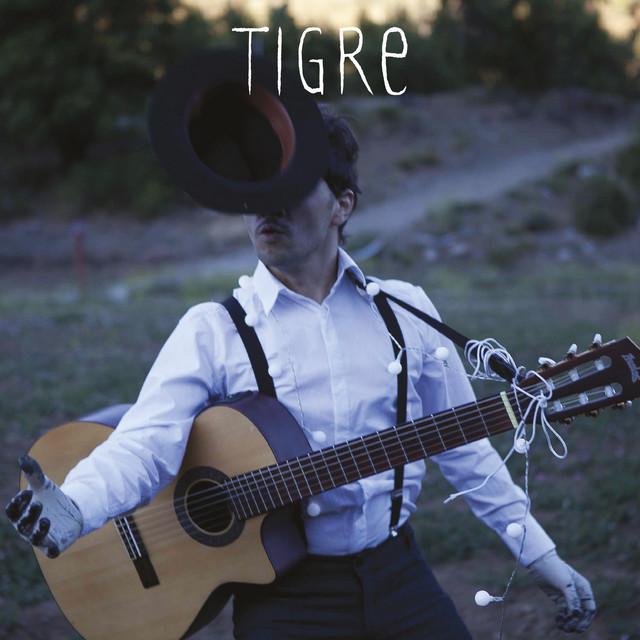 Tigre... el Otro Tigre cover art