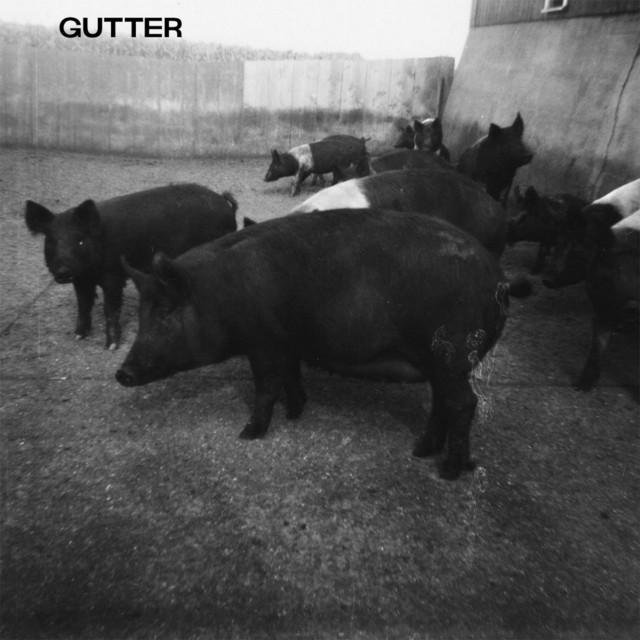 Gutter