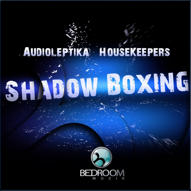 Shadow Boxing - Single by Audioleptika | Spotify