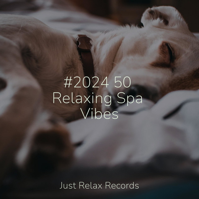 #2024 50 Relaxing Spa Vibes - Album by Happy Baby Lullaby Collection ...