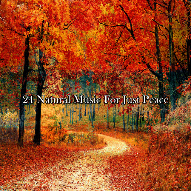 24 Natural Music For Just Peace - Album by Nature Sounds Nature Music ...