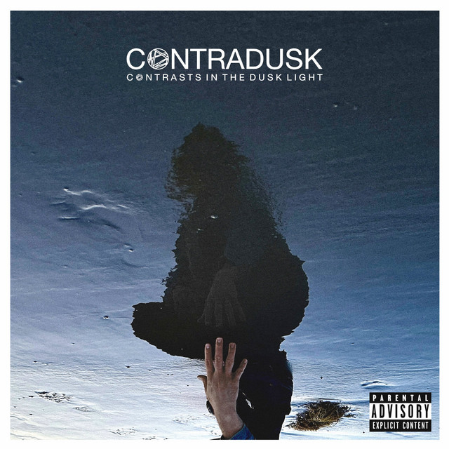 Contrasts in the Dusk Light cover art
